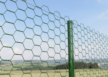 Swing Gate